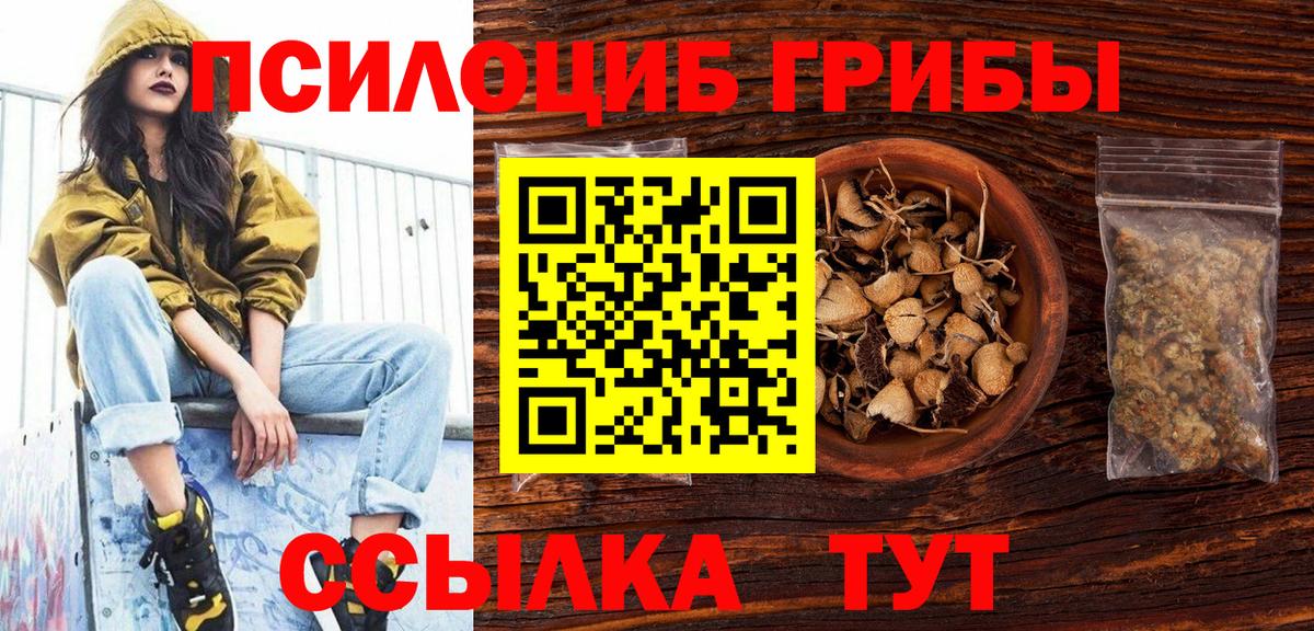 Борисоглебск  Галлюциногенные грибы Magic Shrooms  Вход с VPN  Галлюциногенные грибы Psilocybine cubensis 