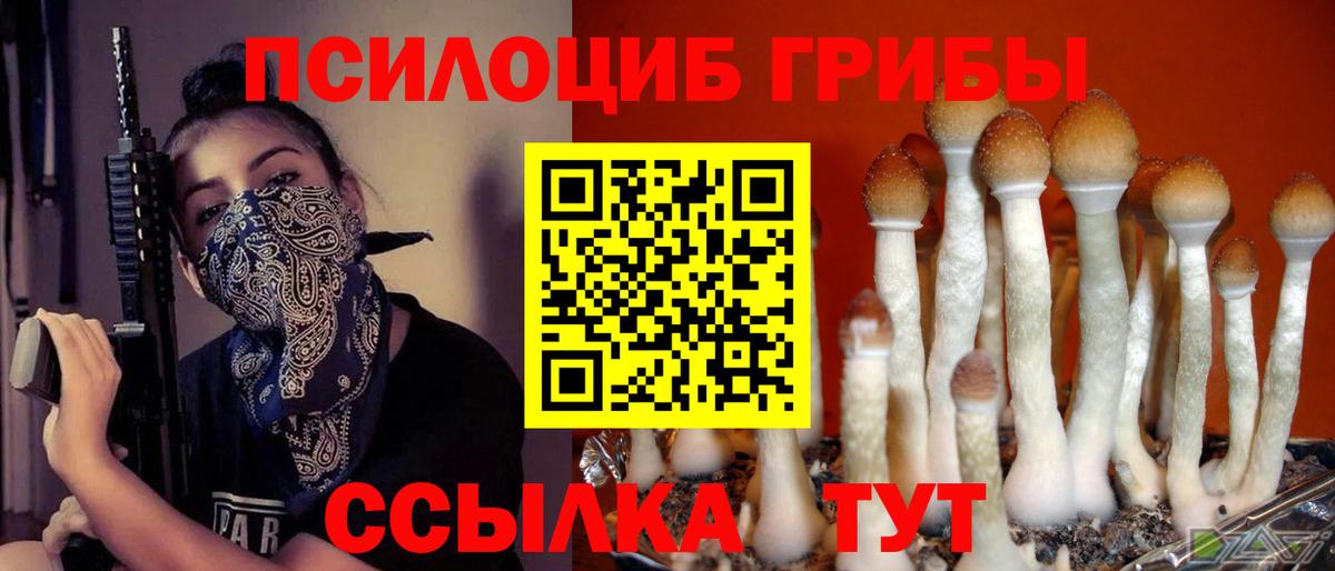 Галлюциногенные грибы мухоморы Борисоглебск