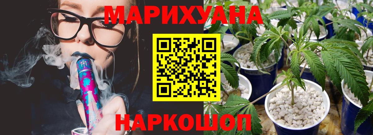 Канабис сатива Борисоглебск